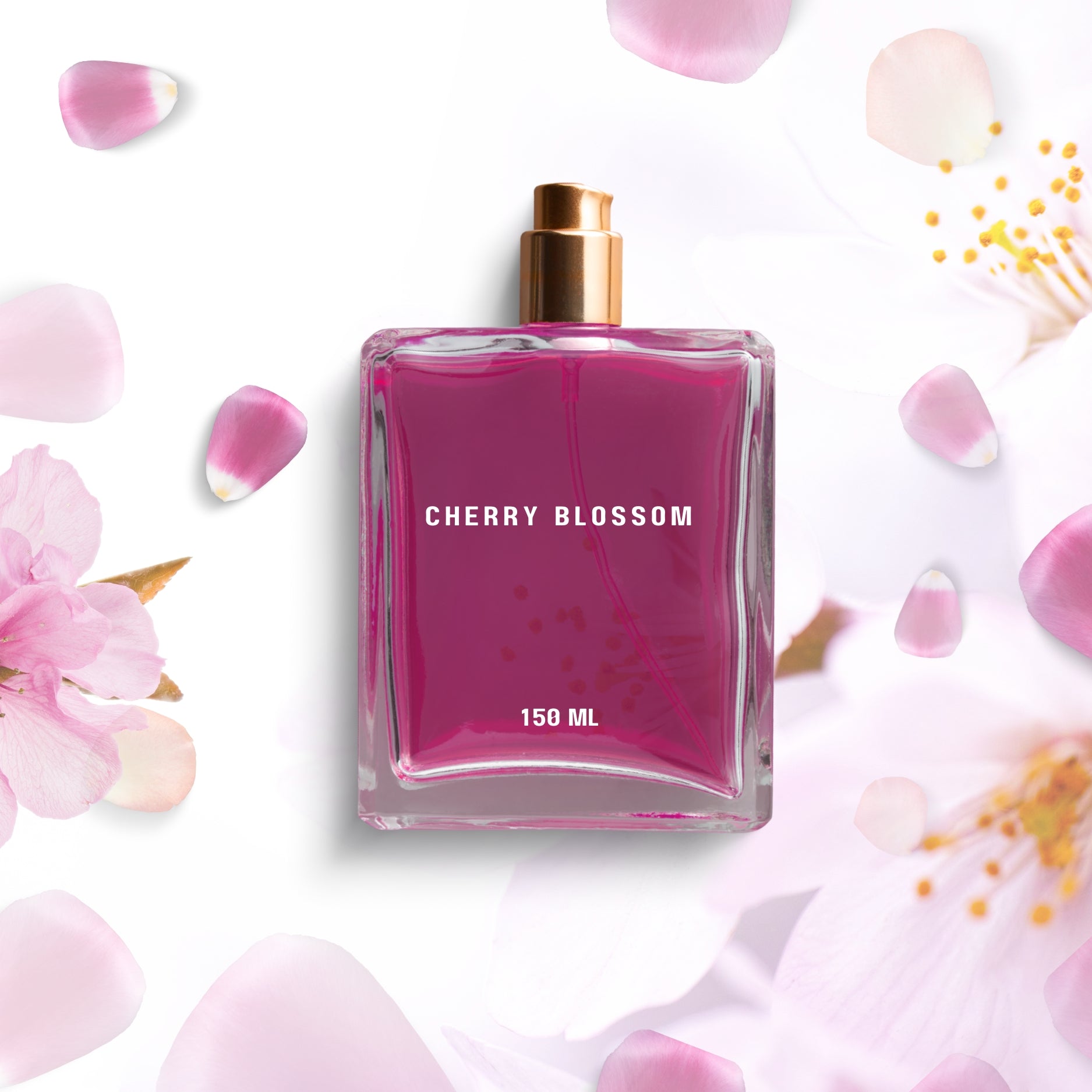 Cherry blossom