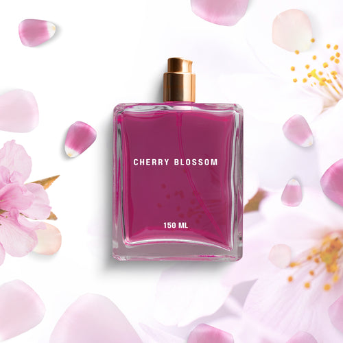 Cherry blossom